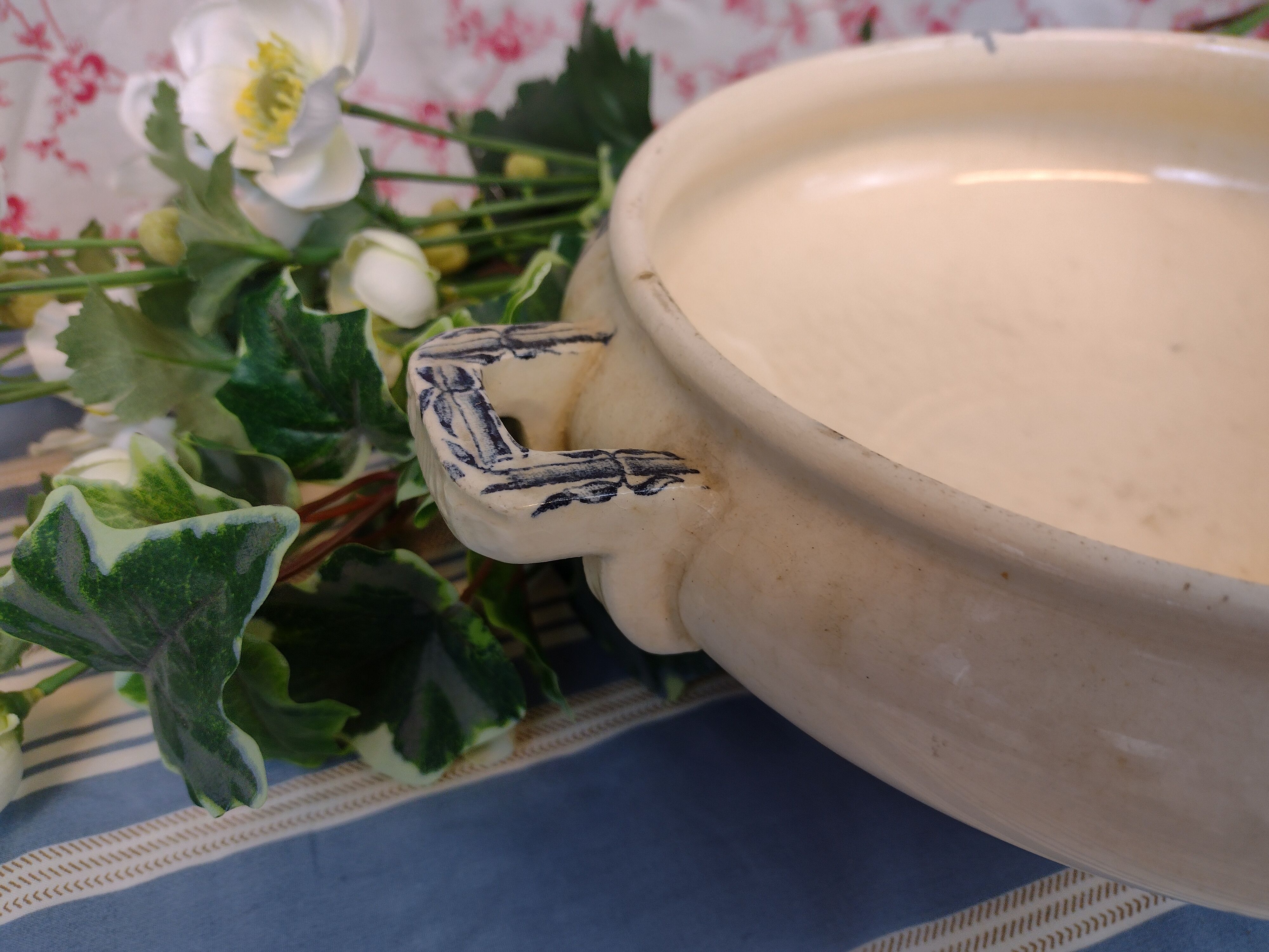 soup bowl longchamp exotic model