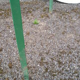 Round garden table metal tripod base and removable tray in chipboard