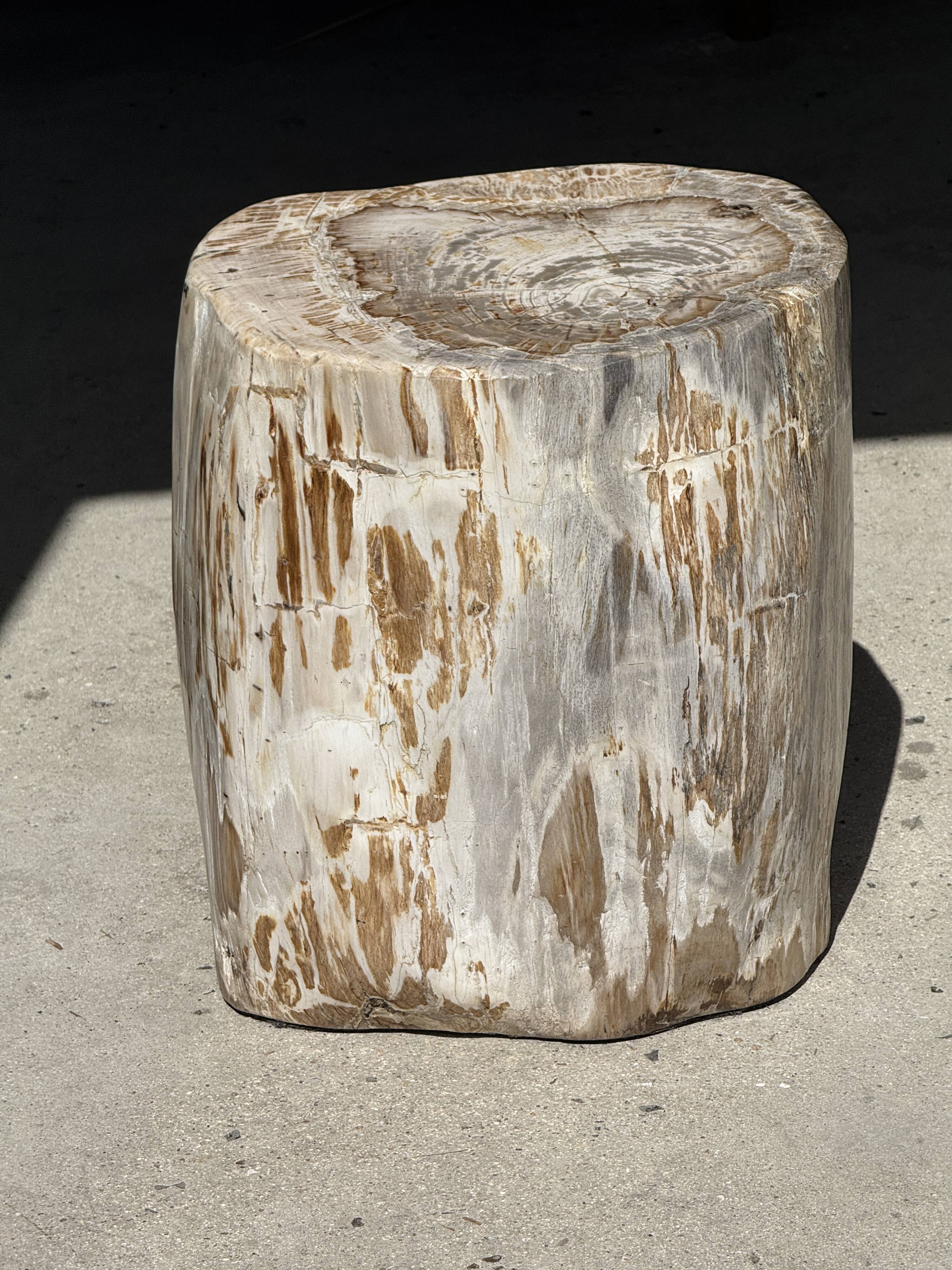 Very large white and grey petrified wood side table H45 D39 - 334