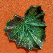 Retro leaf pocket emptier