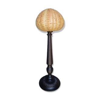 Sea urchin cabinet of curiosities on base