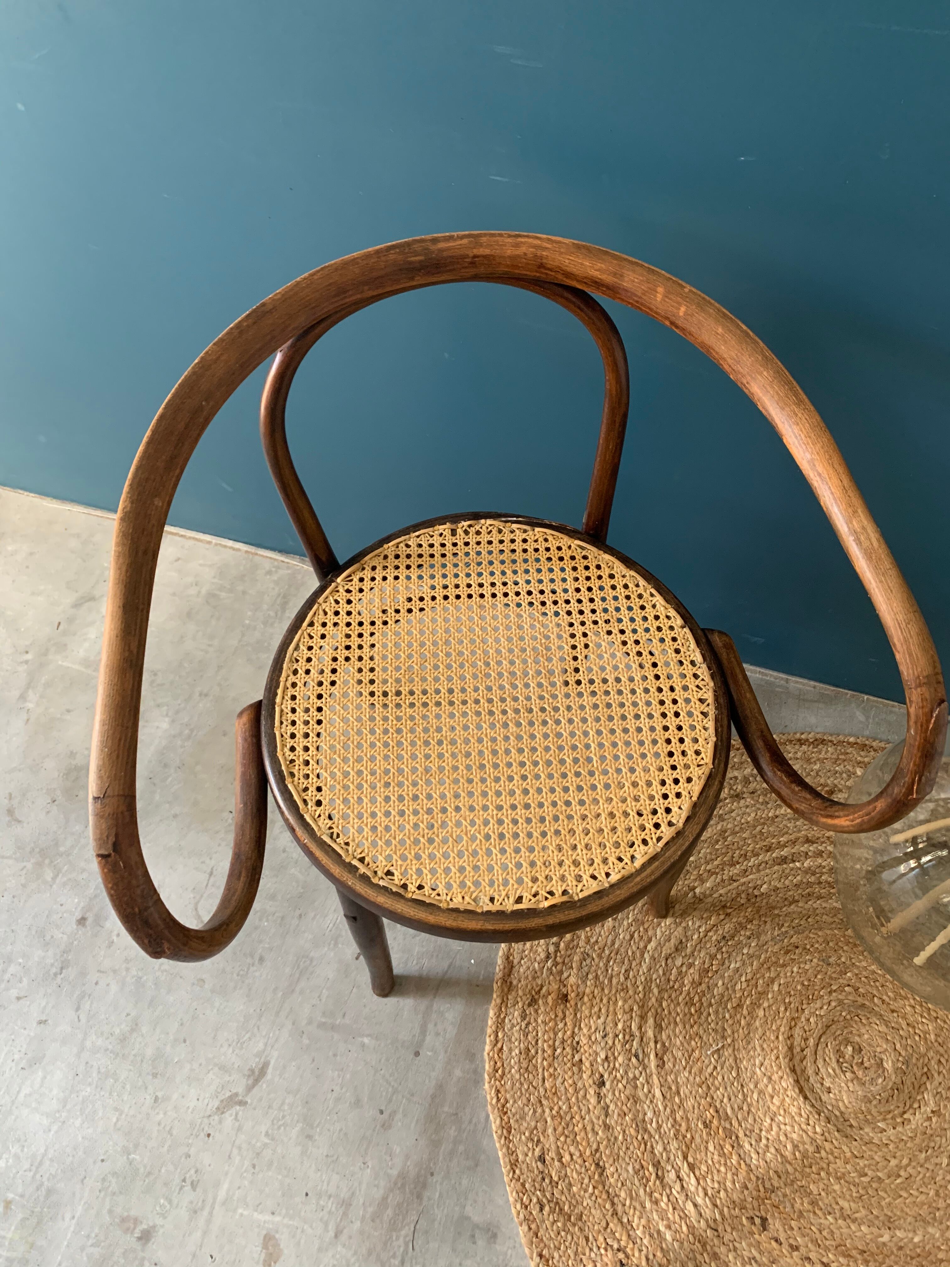 Mundus chair in curved wood