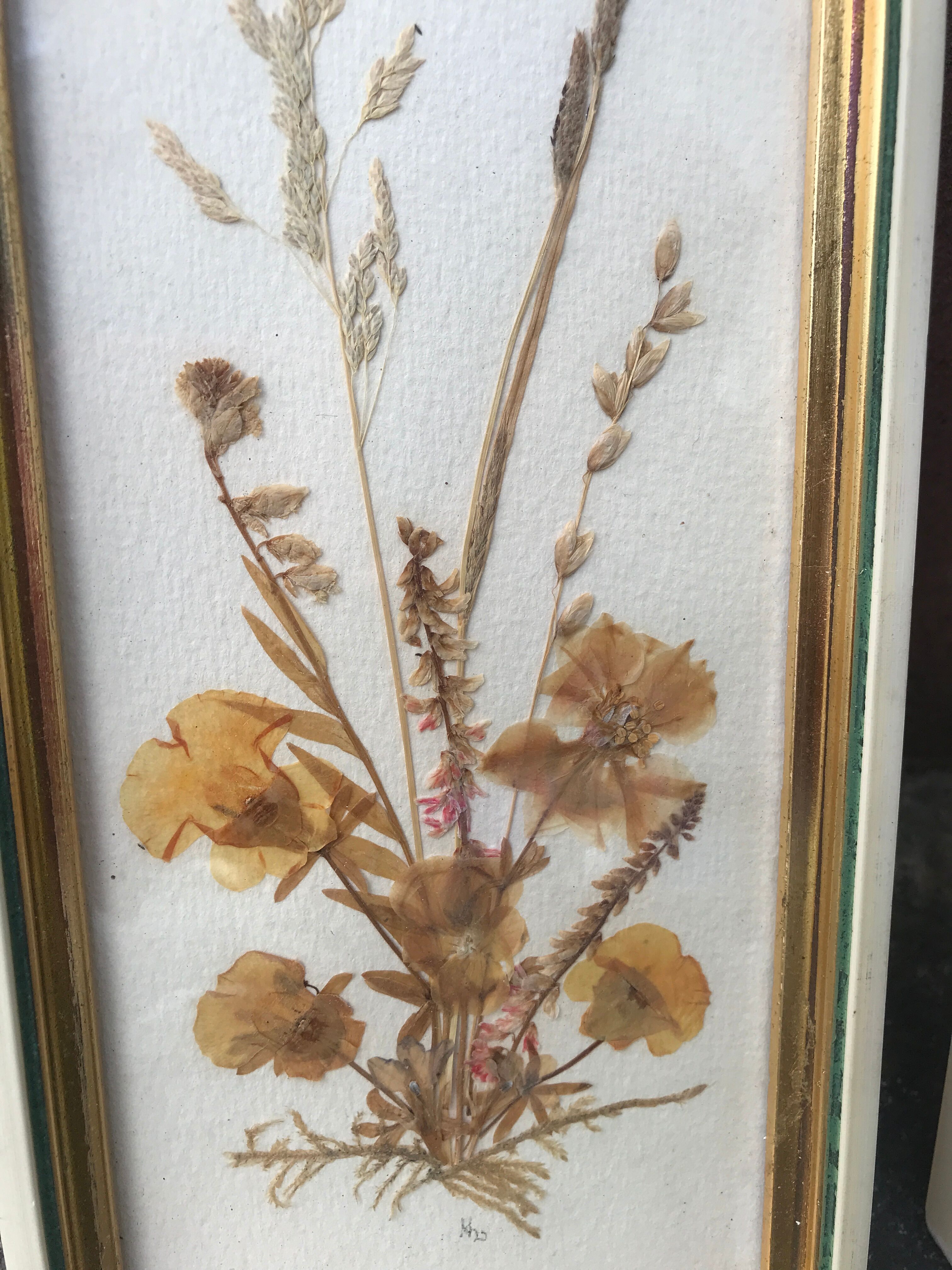 Pair of herbarium frames