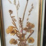 Pair of herbarium frames