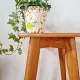 Vintage wooden stool with tapered legs - 1960s / Mid-Century