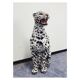 Snow Leopard Ceramic