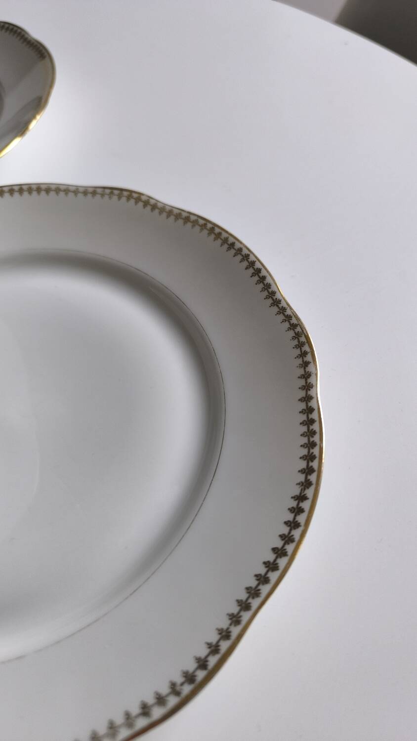Set of 10 porcelain flat plates