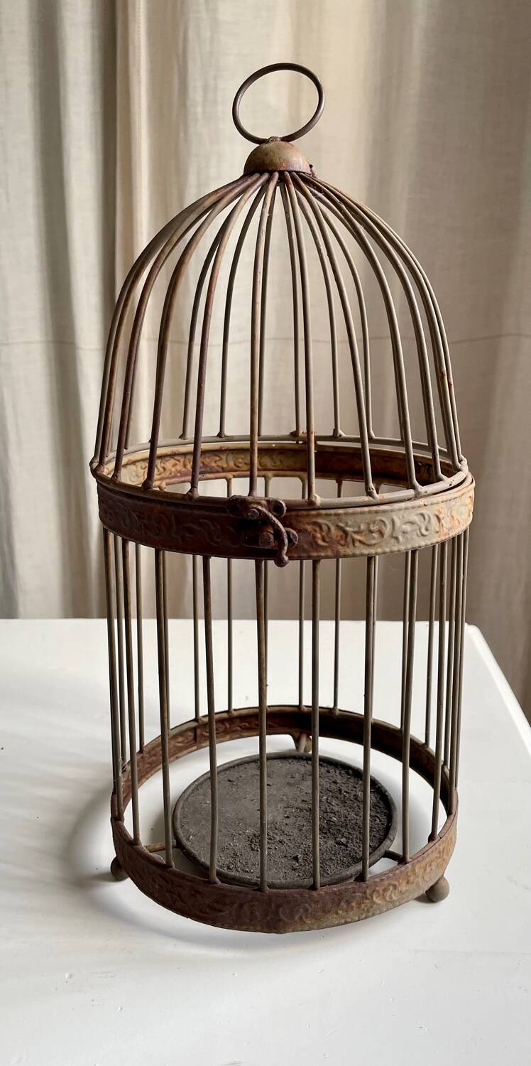 Metal bird cage
