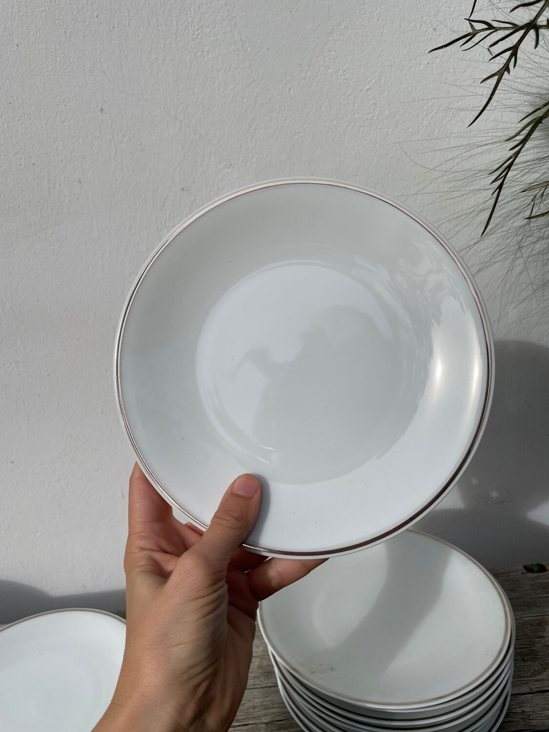 10 assiettes à dessert en porcelaine de Limoges blanches