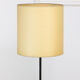 Mid-century floor lamp and coffee table, 1950s
