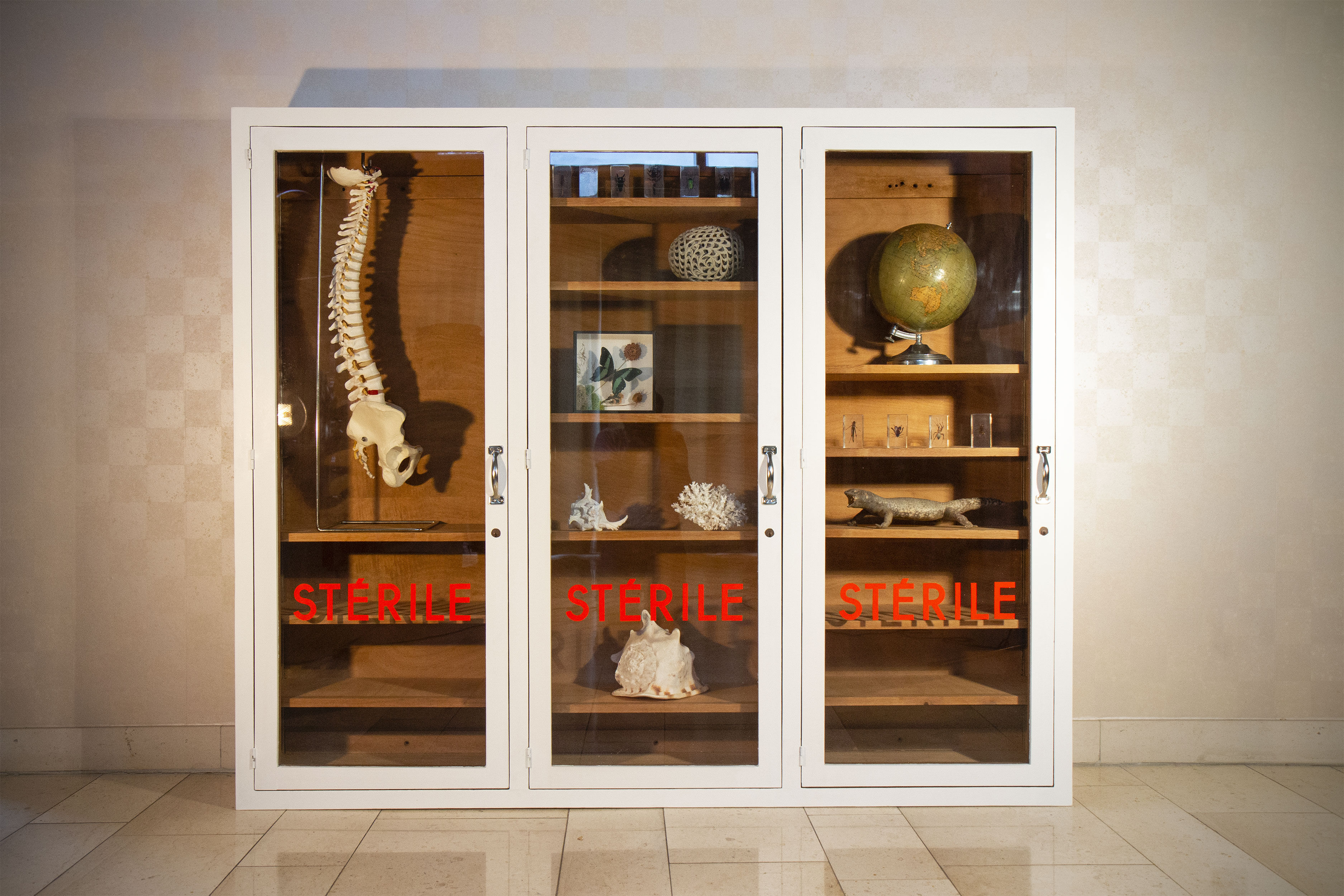 Old pharmacy showcase
