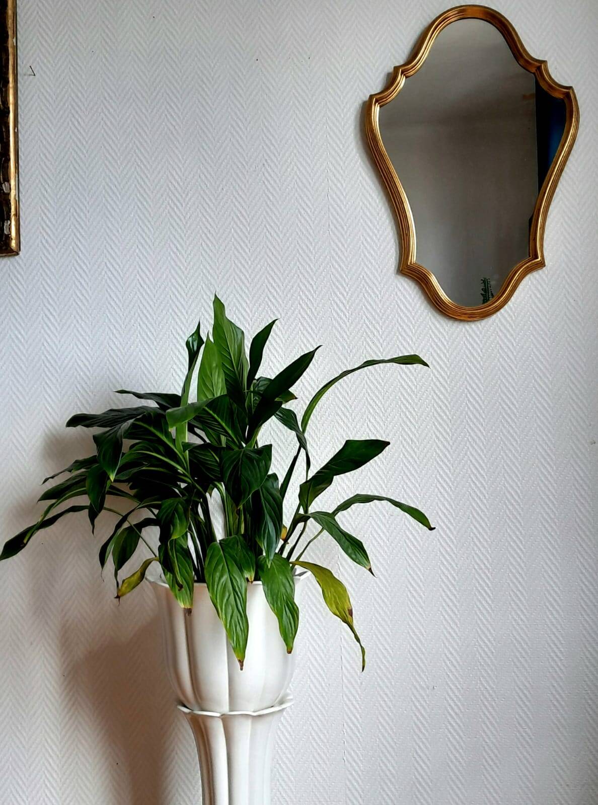 Planter pot on stand in earthenware, vintage Italy