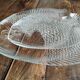 Set of 2 vintage fish dishes in glass Arcoroc France