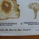 Educational poster DEYROLLE