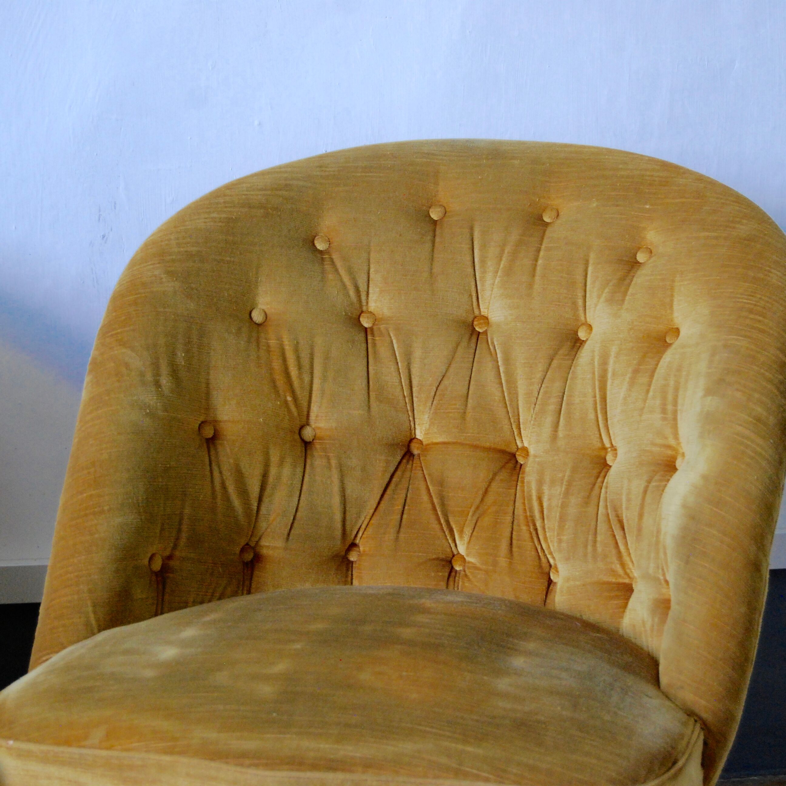 Armchair yellow toad