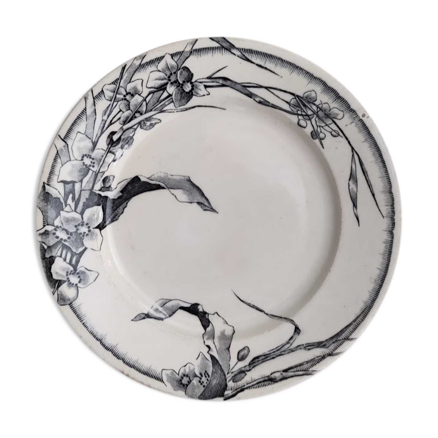 Flat plate JV et Cie Bordeaux / Chevreuse