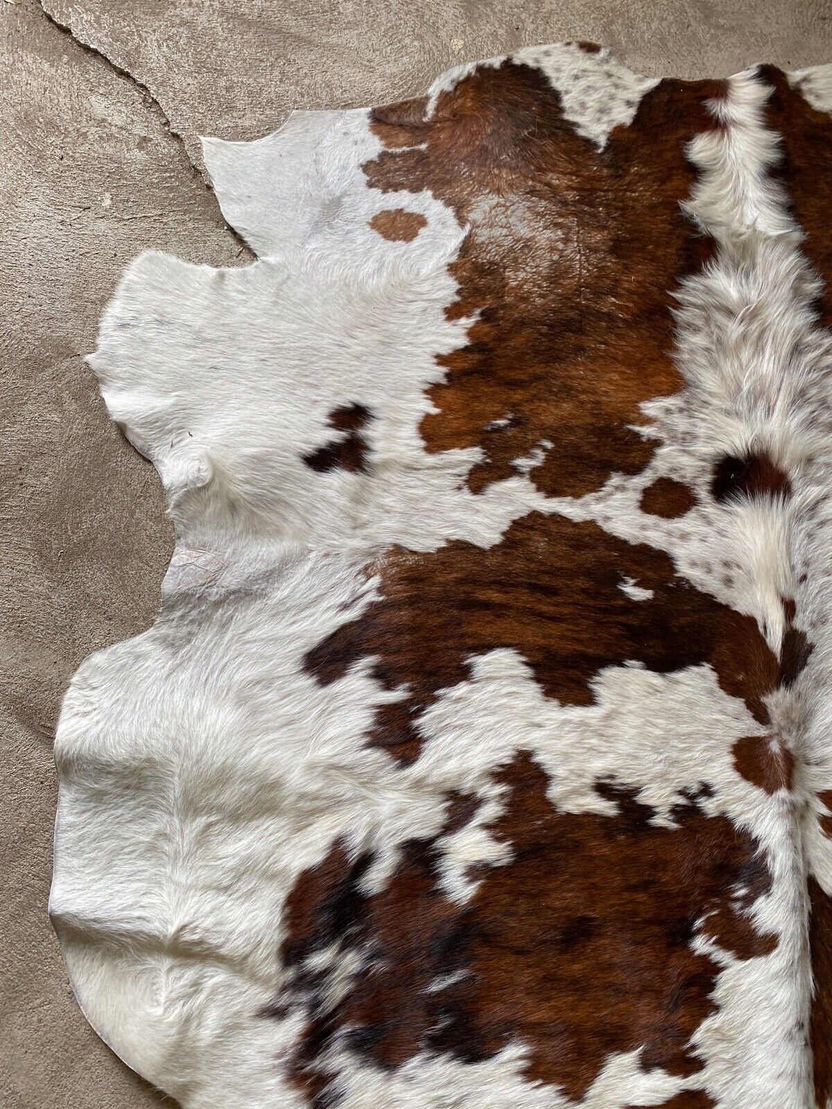 Cowhide carpet white and brown 1970 230 x 219
