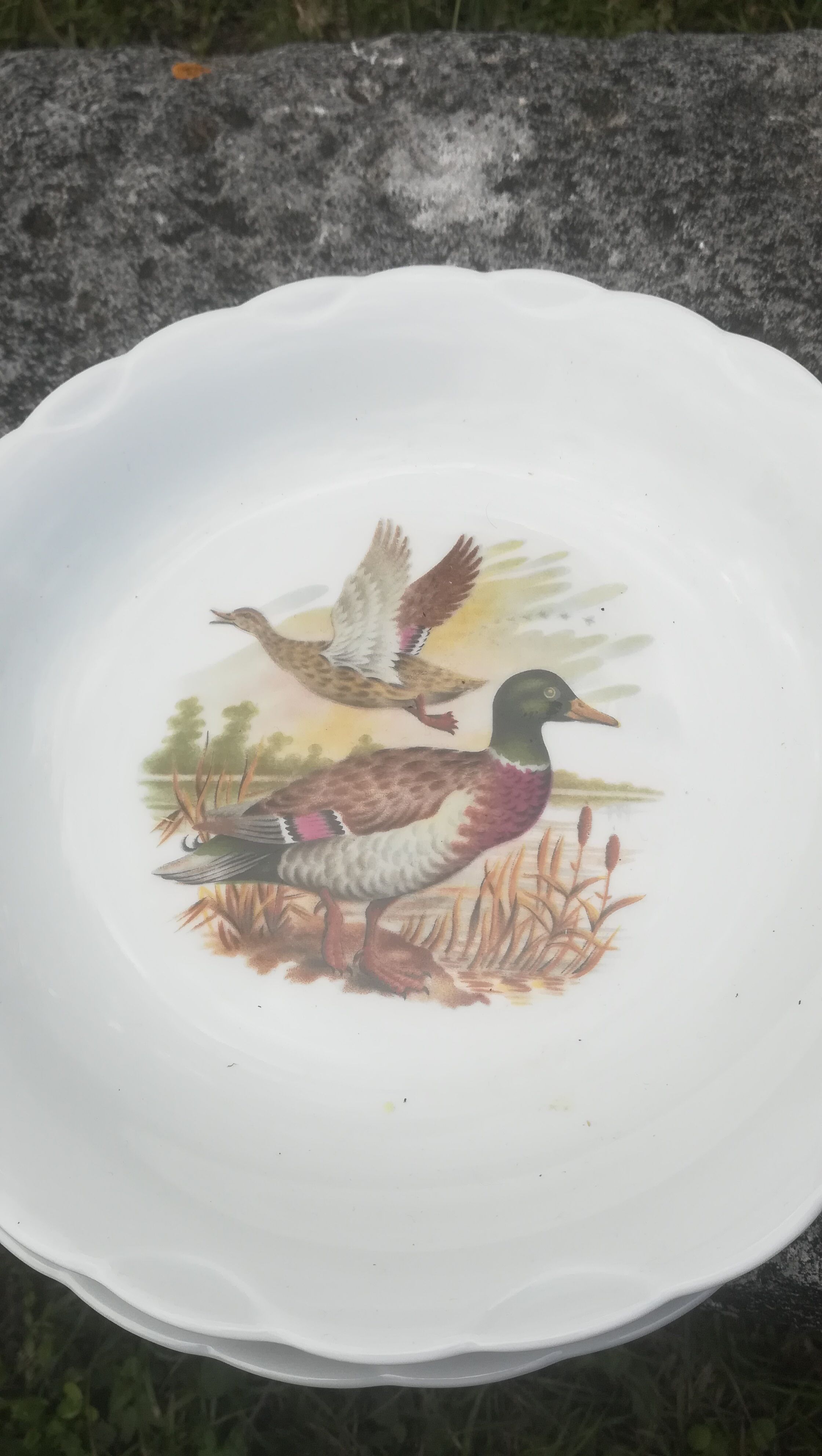 8 hollow plates animal decorations