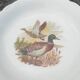 Set de 8 assiettes creuses décors animaux