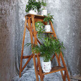 Workshop stepladder