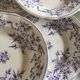 Set of 7 soup plates earthenware of Sarreguemines circa 1870 décor thorns