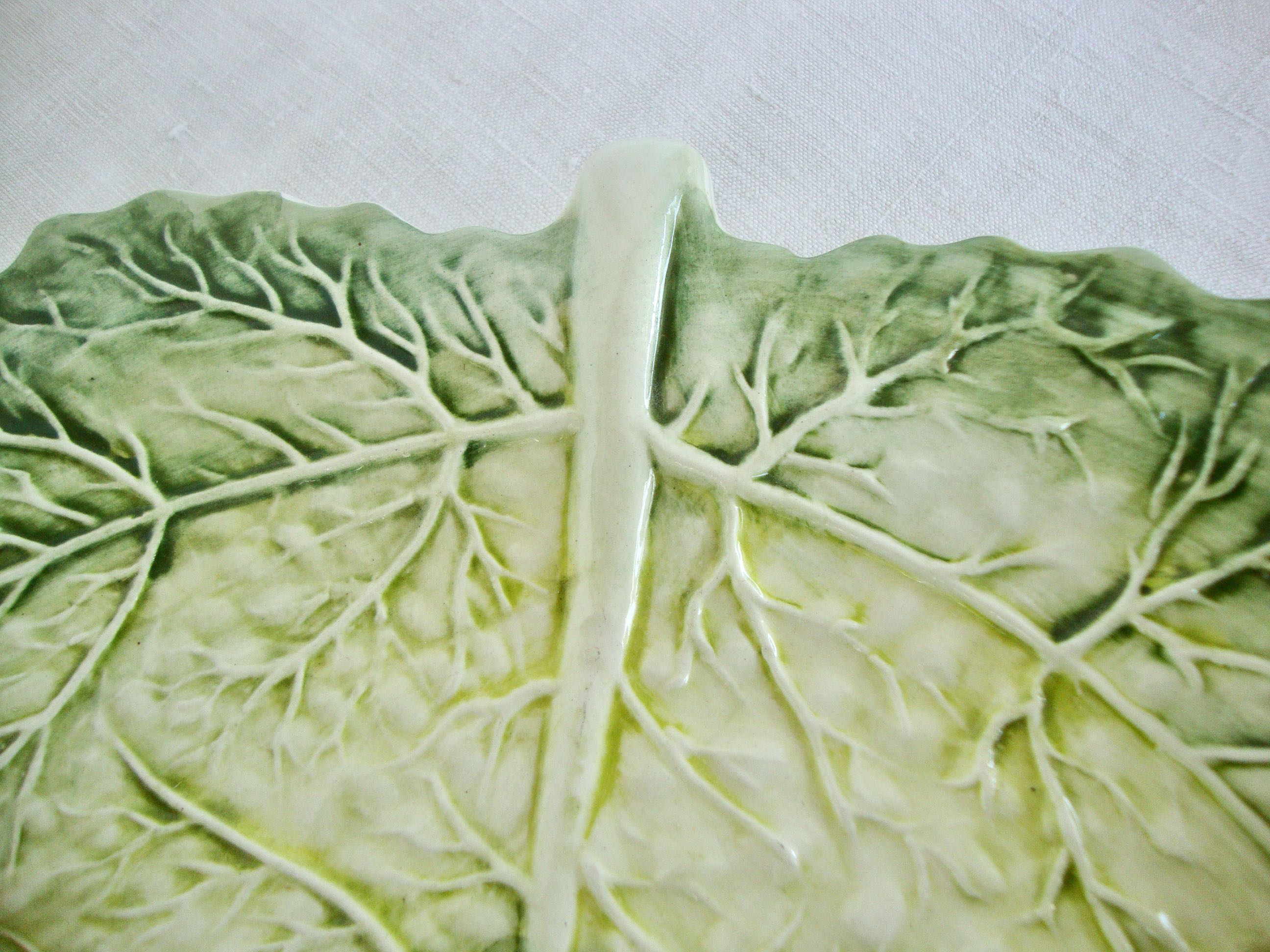 Flat cabbage leaf