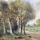 Walk in the countryside at the beginning of the 20th century