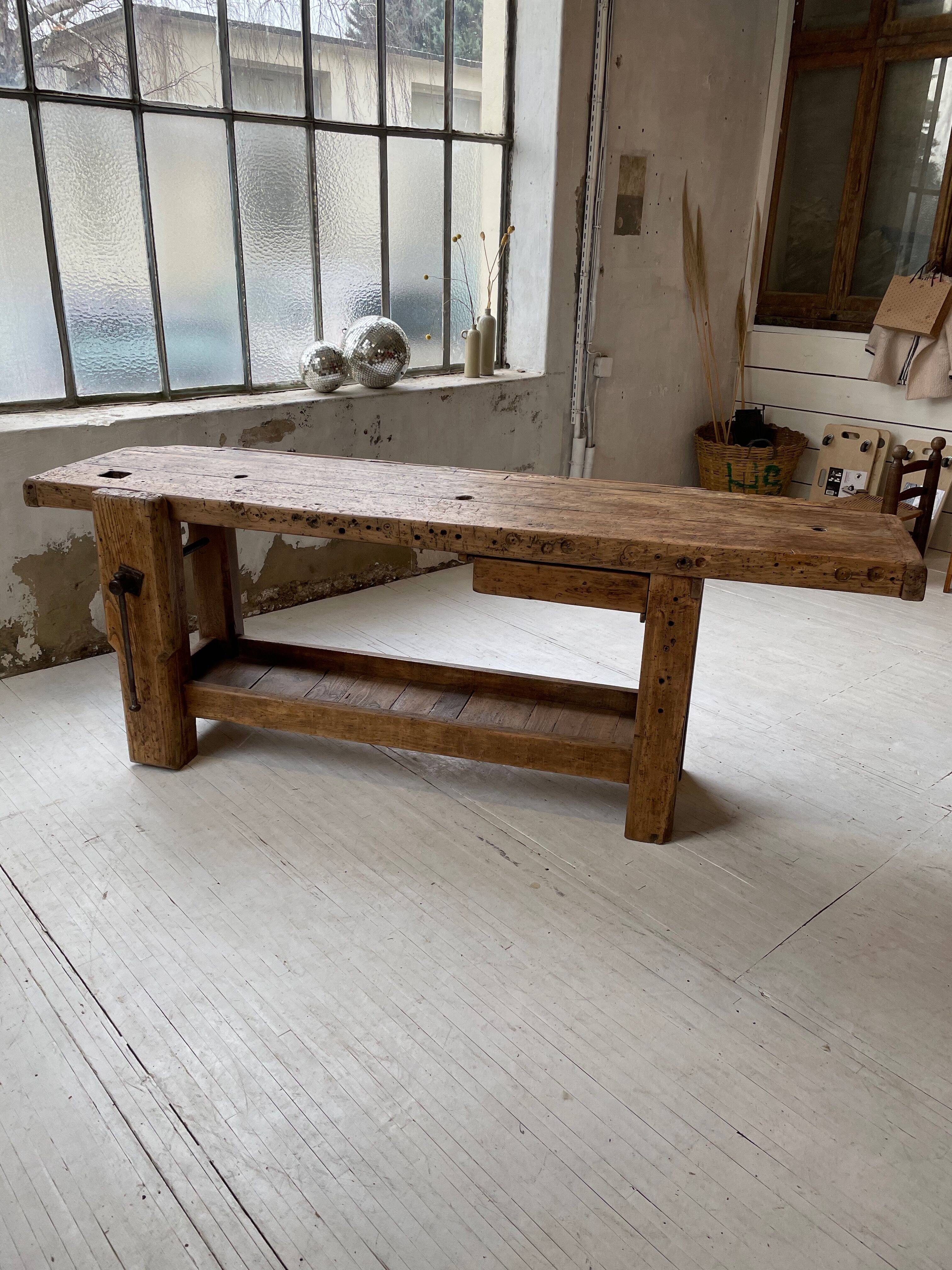 Established old oak XL