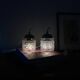 Pair of small portable tulip lamps in transparent glass.