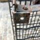 Iron bottle rack
