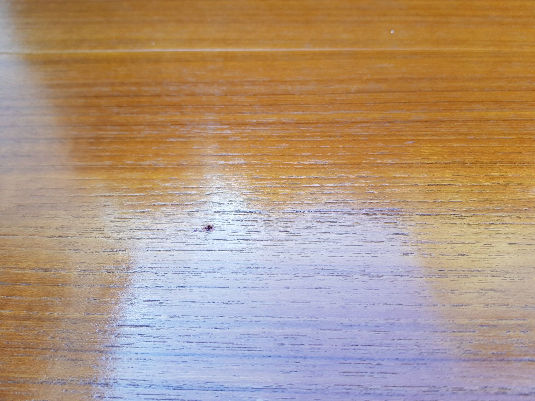 Teak table 1960 circa