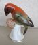 Oiseau en porcelaine