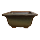 Pot à Bonzaï
