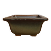 Bonsai pot