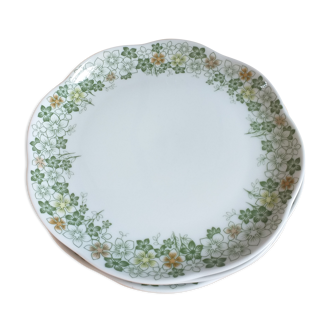 6 dessert plates
