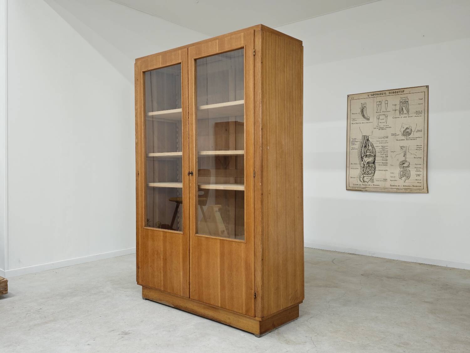 Oak glass-fronted school cabinet 1960