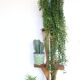 Porte plante en bois