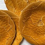 4 plates in Gien vine leaf slip, Primefleur vintage creation