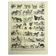 Gravure ancienne 1928 A. Millot - Chien, races, berger, canin, dressage