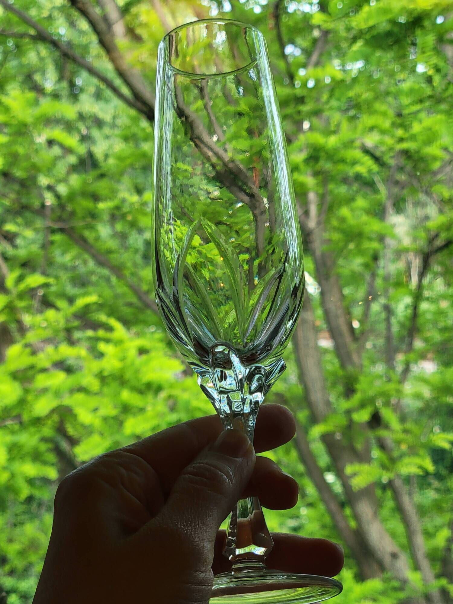10 crystal champagne flutes 24% Cristallerie Kaspar Lemberg Lorraine vintage