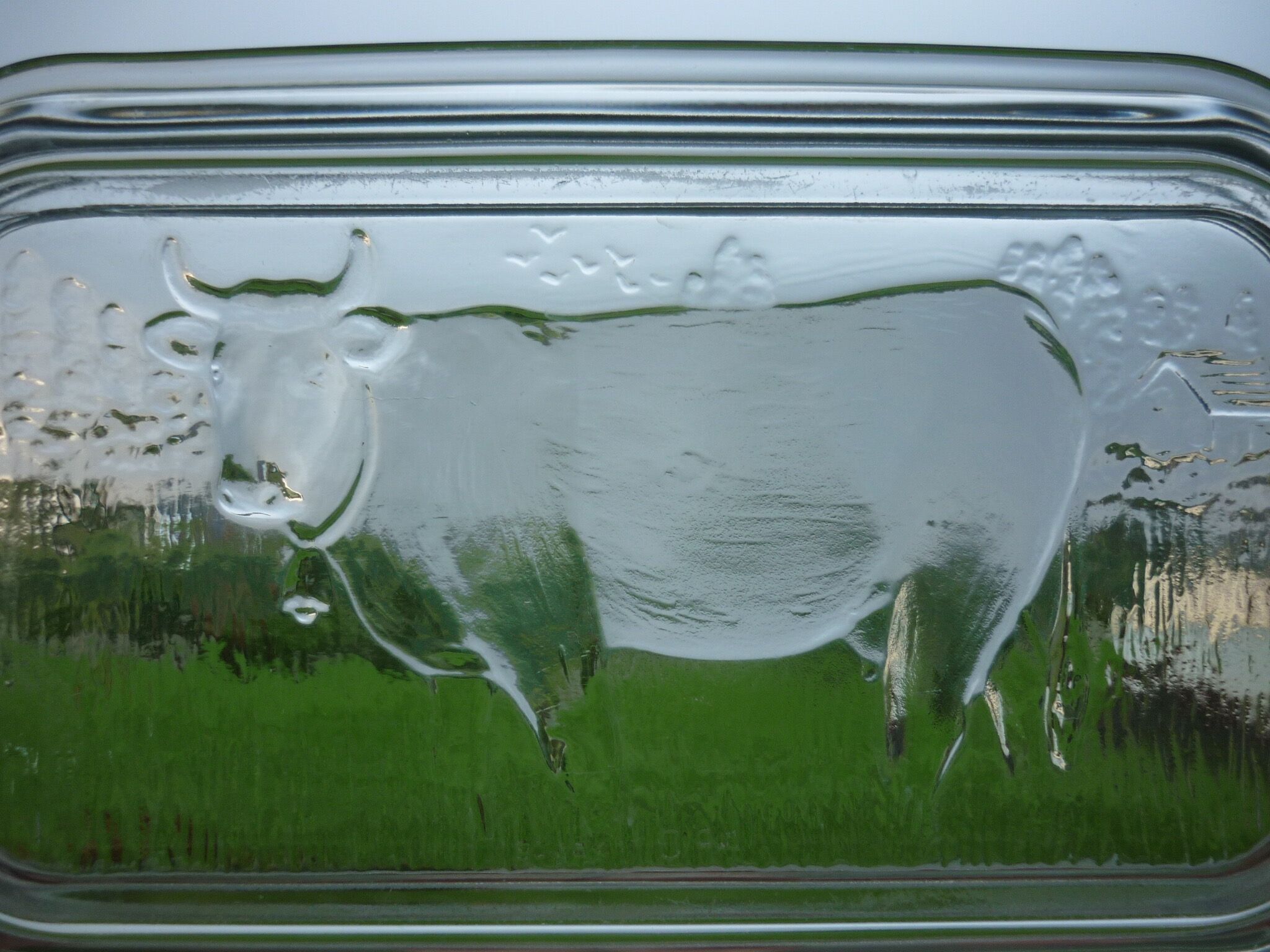 Glass buttermilk dairy cow lid