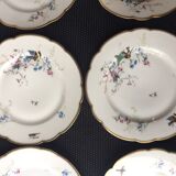 Service - dessert porcelain limoges Haviland H-c decoration flowers birds