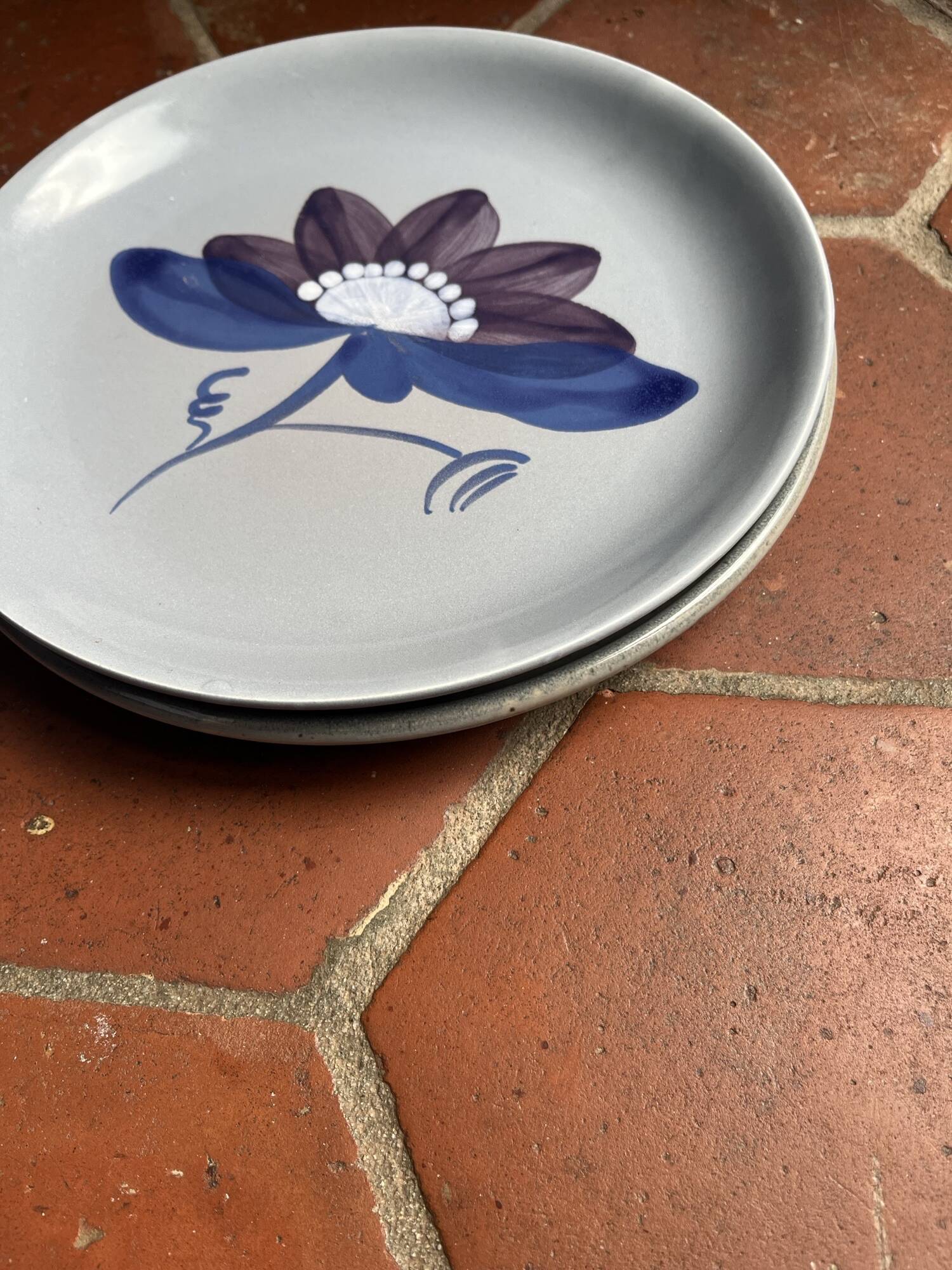 2 grandes assiettes bleues années 70