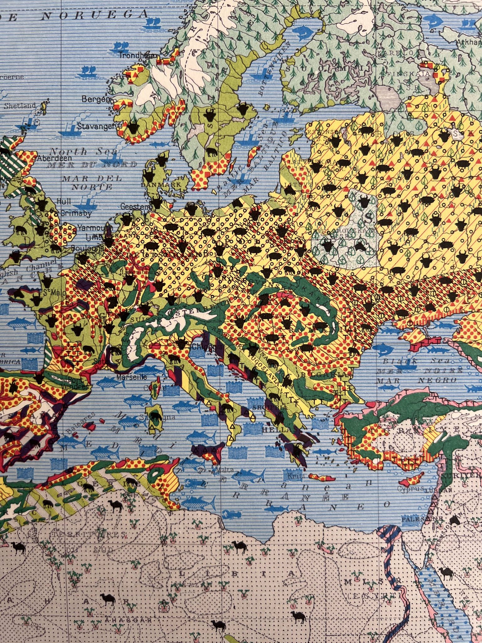 Carte agricole ancienne Ancien Continent — Végétation, Cultures, Éleva