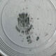 Flat plate Sainte Armand