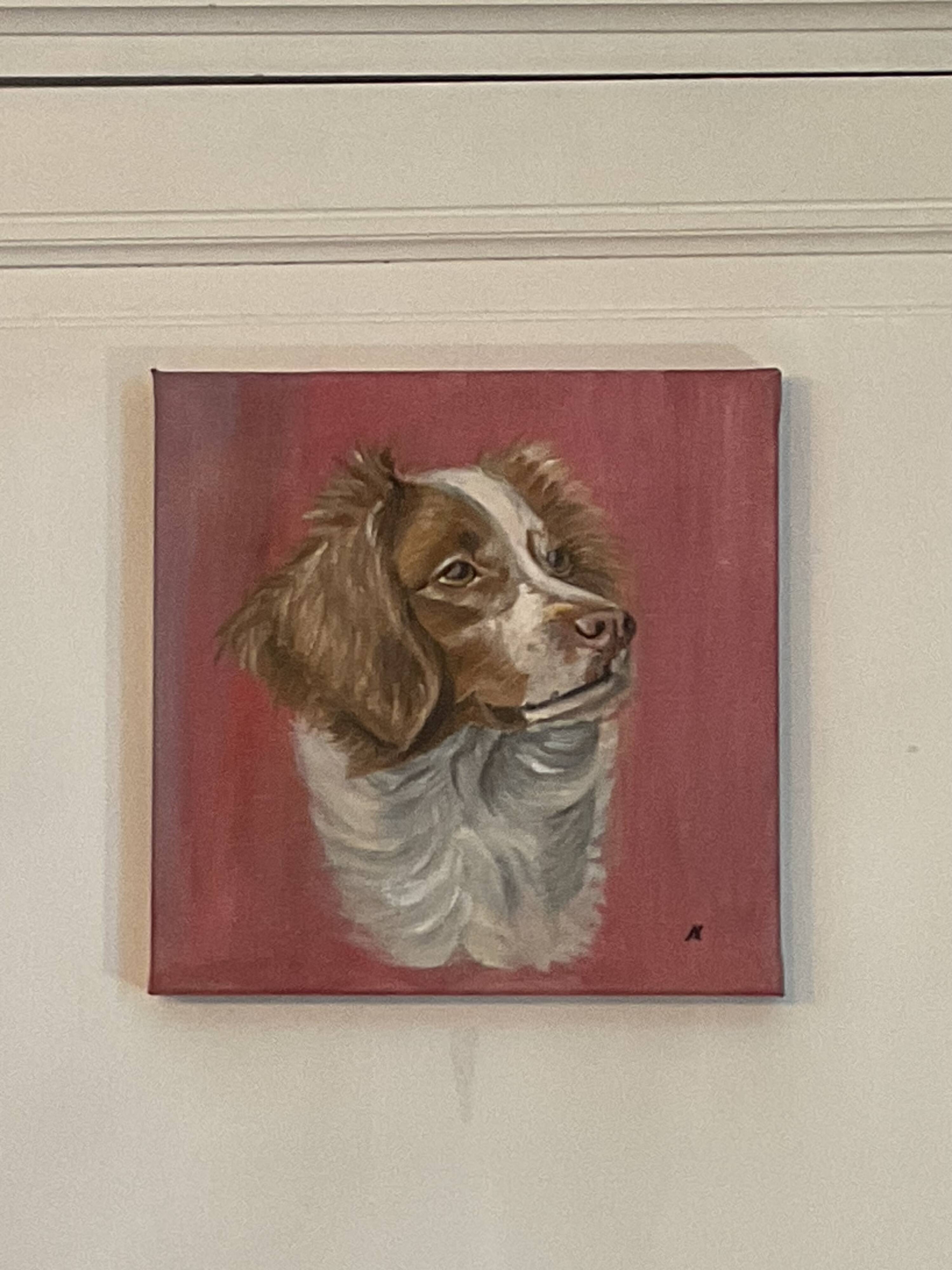 Portrait of a Brittany Spaniel