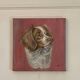 Portrait of a Brittany Spaniel