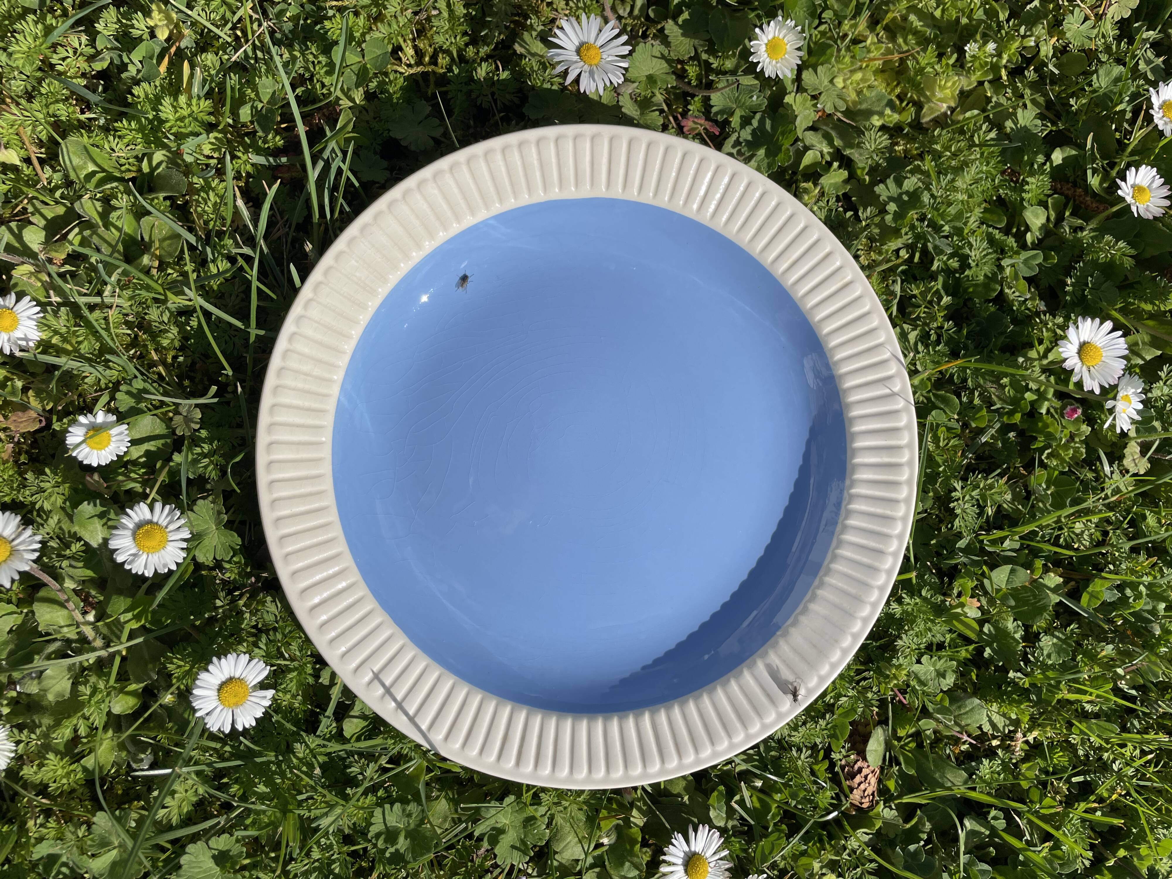 Set of 9 blue dessert plates Villeroy and Boch Model Lido Year 50