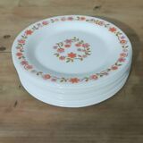 10 vintage Scania dessert plates