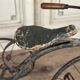 Children's tricycle made of wrought iron, around 1900.